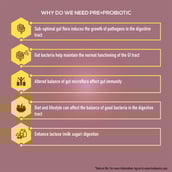 pre+probiotic - TrueBasics Pre+ProBiotics Digestion,  30 capsules 