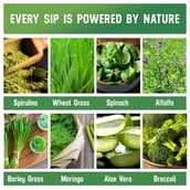 ingredients - Azani Active Nutrition Super Greens, 15 tablet(s) Green Lime