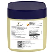 back - Evalife Petroleum Jelly,  100 g  for All Skin Types (Pack of 2) 