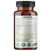 supplementinfo - Raskam Fat Burner,  60 capsules  Unflavoured 