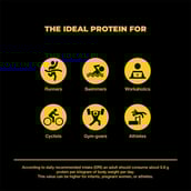 5 - Muscle Monk Highly Advanced Intense Whey Protein,  0.55 lb  Royal Chocolate 