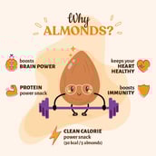 benefits - Open Secret Nutty Almonds,  Orange Cocoa Pack of 2  135 g 