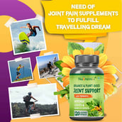 5 - Nutrainix Organic & Plant Based Joint Support,  120 capsules 