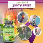 4 - Nutrainix Organic & Plant Based Joint Support,  120 capsules 