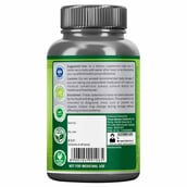 back - Nutrainix Vitamin C Complex,  90 tablet(s)  Natural 