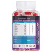 back - Nutrainix Hair Vitamins with Biotin,  30 gummies  Unflavoured Pack of 2 