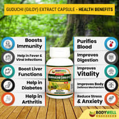 2 - Bodywell Guduchi (Giloy) Pure Extract 500 mg,  60 veggie capsule(s) 