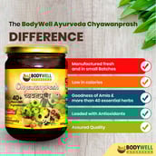 4 - Bodywell Chyawanprash,  2 Piece(s)/Pack 