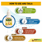 5 - Bodywell Anu Taila Ayurvedic Nasal Oil Drops,  20 ml 
