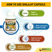 4 - Bodywell Shilajit,  60 veggie capsule(s) 