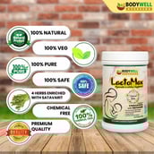 4 - Bodywell Lactomax Ayurvedic Lactation Supplement,  250 g 