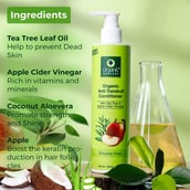 2 - Organic Harvest Organic Anti Dandruff Conditioner,  200 ml  for All Types of Hair 