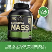 6 - ON (Optimum Nutrition) Serious Mass, 3 lb Chocolate
