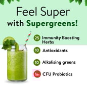 3 - Plix Life Immunity Boosting Supergreens Powder,  Lemon  0.44 lb 