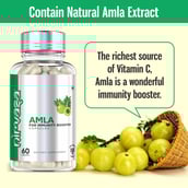 6 - Nirvasa Amla,  60 capsules 