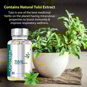 6 - Nirvasa Tulsi Immunity Booster 500mg, 60 capsules