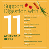 4 - Kapiva Paachaka Green Tea,  20 Tea Bag(s)  Unflavoured 