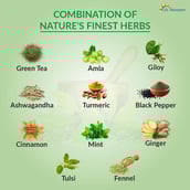 2 - Dr. Morepen Immune Tea, Natural 100 g