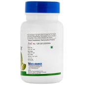 Healthvit Bilberry Extract (40 mg),  60 capsules 