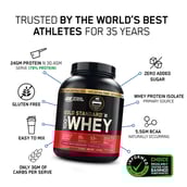 2 - ON (Optimum Nutrition) Gold Standard 100% Whey Protein Powder,  5.5 lb  Double Rich Chocolate 