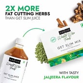 3 - Kapiva Weight Wise Foods Get Slim Mix, 30 sachets/pack