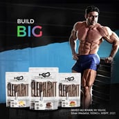 4 - Absolute Nutrition Knockout Series Elephant Mass Gainer,  2.2 lb  Mango Vanilla 