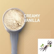 4 - ON (Optimum Nutrition) Gold Standard 100% Plant Protein,  1.51 lb  French Vanilla Creme 