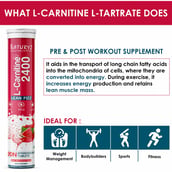 8 - Naturyz L-Carnitine 2400 20 Tablets & Platinum CLA-Carnitine 450ml Como,  2 Piece(s)/Pack  Water Melon Masala & Orange 