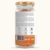 2 - Rooted Active Naturals Plant Protein,  1.1 lb  Chocolate 