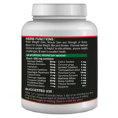 2 - Riffway Boost XXX Mass, 0.44 lb Unflavoured