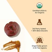 5 - Rooted Active Naturals Reishi Organic Mushroom Extract,  120 g 