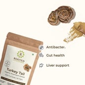4 - Rooted Active Naturals Turkey Tail Organic Mushroom Extract, 60 g