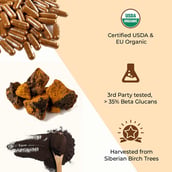 6 - Rooted Active Naturals Chaga Organic Mushroom Extract, 90 veggie capsule(s)