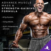 5 - MuscleTech Mass Tech Extreme 2000, 6 lb Vanilla Milkshake