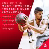 4 - MuscleTech Nitrotech 100% Whey Gold,  4.4 lb  Double Rich Chocolate - India 