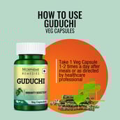 6 - Morpheme Remedies Guduchi (500 mg), 60 veggie capsule(s)