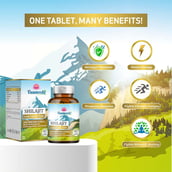 3 - Vaamveda Shilajit (Pack of 3), 60 capsules