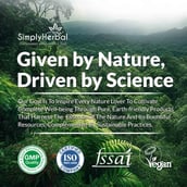 7 - Simply Herbal Green Tea Extract 500mg,  80 veggie capsule(s)  Unflavoured (Pack of 3) 