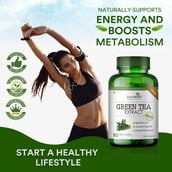 5 - Simply Herbal Green Tea Extract 500mg,  80 veggie capsule(s)  Unflavoured (Pack of 3) 