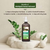 2 - Axiom Mukti Gold Herbal Hairwash,  500 ml  for All Types Hair Pack of 3 