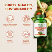 3 - Divya Himalayan Swarn Shakti Rasayan,  60 tablet(s) 