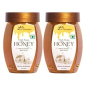 1 - Dr. Morepen Multi Flora Honey, 250 g Pure & Natural (Pack of 2)