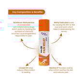 2 - Tata 1mg Pain Relief,  100 g 