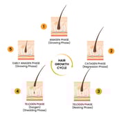 3 - Tata 1mg Minoxidil Topical Hair Growth Solution, 60 ml for All Types of Hair