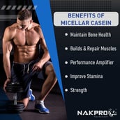 5 - Nakpro Micellar Casein Protein,  2.2 lb  Malai Kulfi (Pack of 2) 