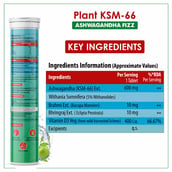 2 - Naturyz Plant KSM-66 with Ashwagandha- Pack of 3,  15 tablet(s) 