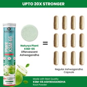4 - Naturyz Plant KSM-66 with Ashwagandha- Pack of 3,  20 tablet(s) 