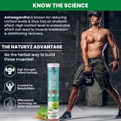 5 - Naturyz Plant KSM-66 with Ashwagandha(Apple Green Flavour),  20 tablet(s) 