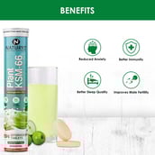 7 - Naturyz Plant KSM-66 with Ashwagandha(Apple Green Flavour),  15 tablet(s) 