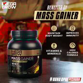 4 - Megagrow Mass Gainer High Calories Formula,  2.2 lb  Mango 